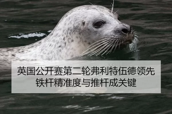 英国公开赛第二轮弗利特伍德领先 铁杆精准度与推杆成关键